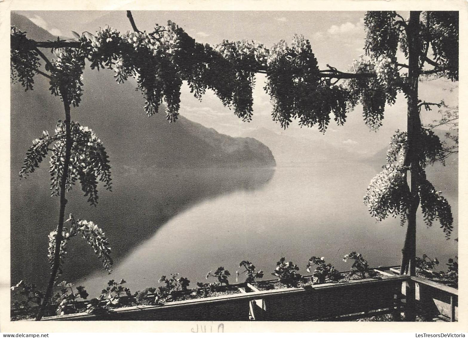 [-15%] SUISSE - Am Luganersee - Lac de Lugano - vue générale - Carte Postale Ancienne