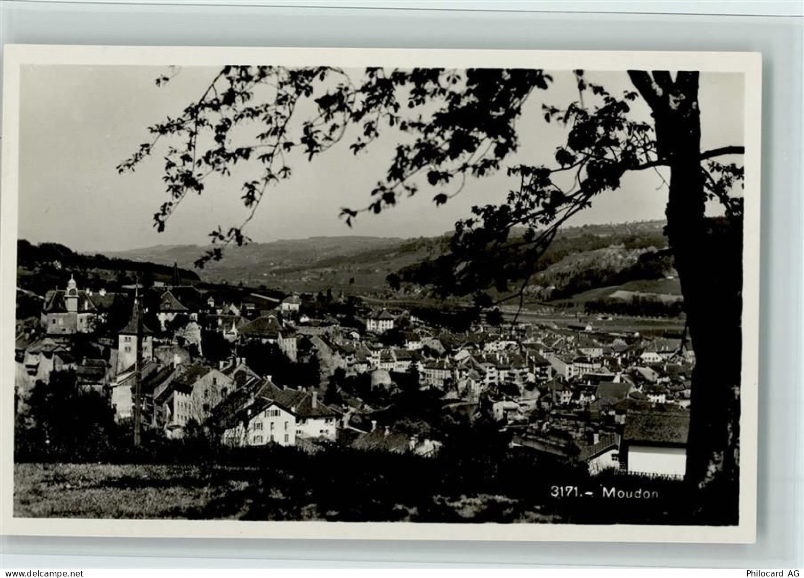 1510 Moudon - Baum - 11061769