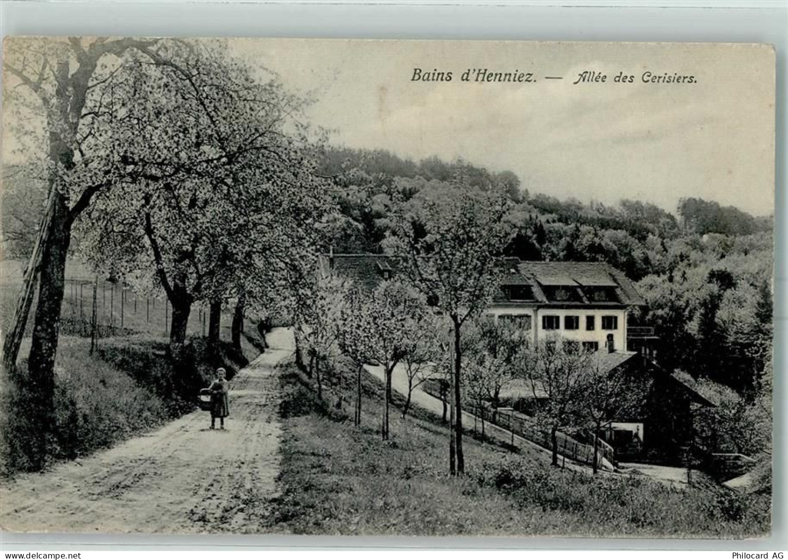 1525 Henniez Treize-Cantons 1909 - Allee des Cerisiers - 13173178