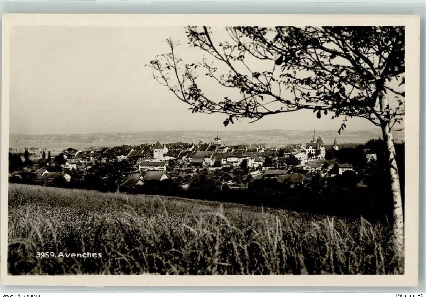 1580 Avenches - 10204334