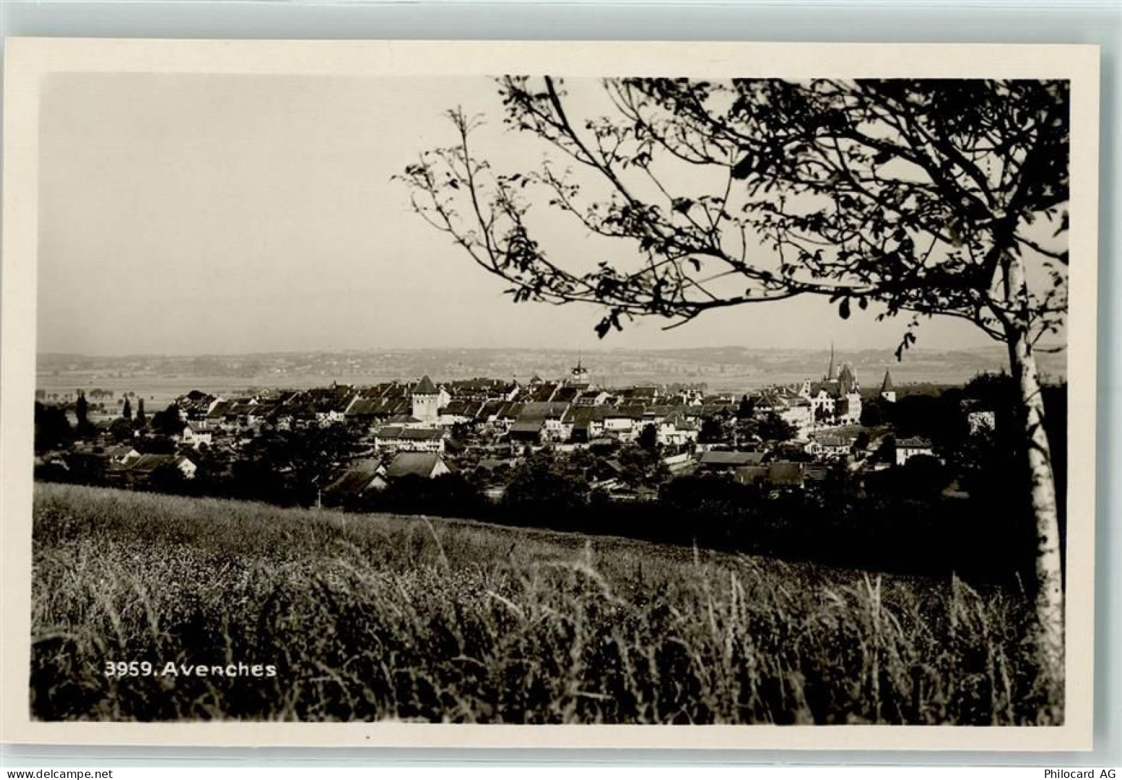 1580 Avenches - 10204341