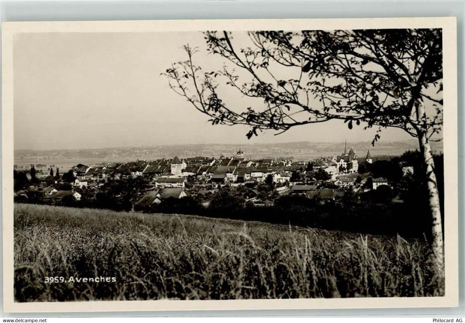 1580 Avenches - 10308442