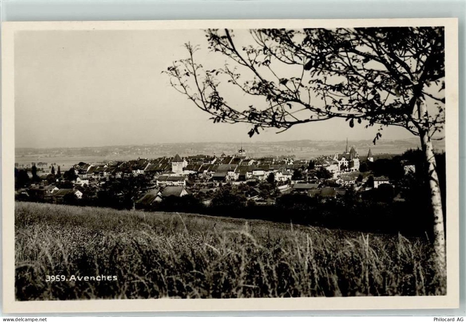 1580 Avenches - 10308443