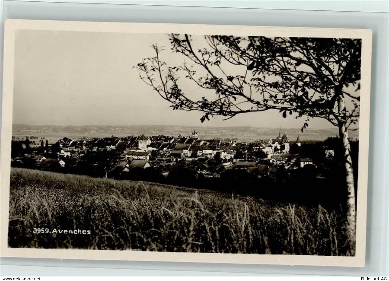 1580 Avenches - 11063798