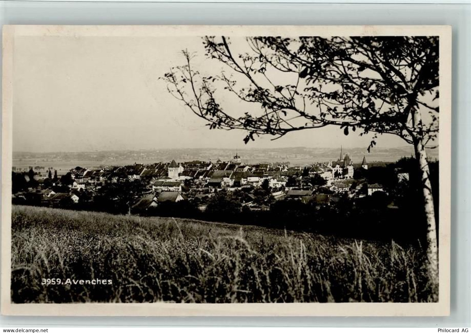 1580 Avenches - 11084253