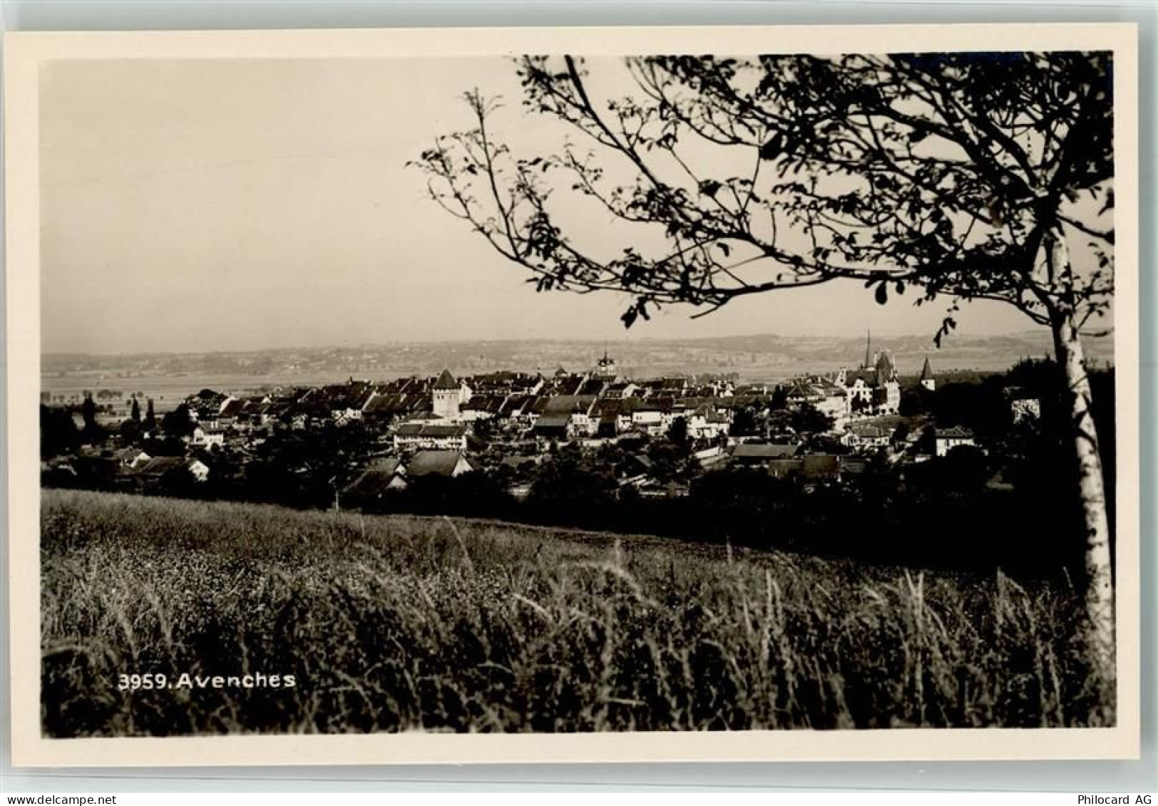 1580 Avenches - 39694374