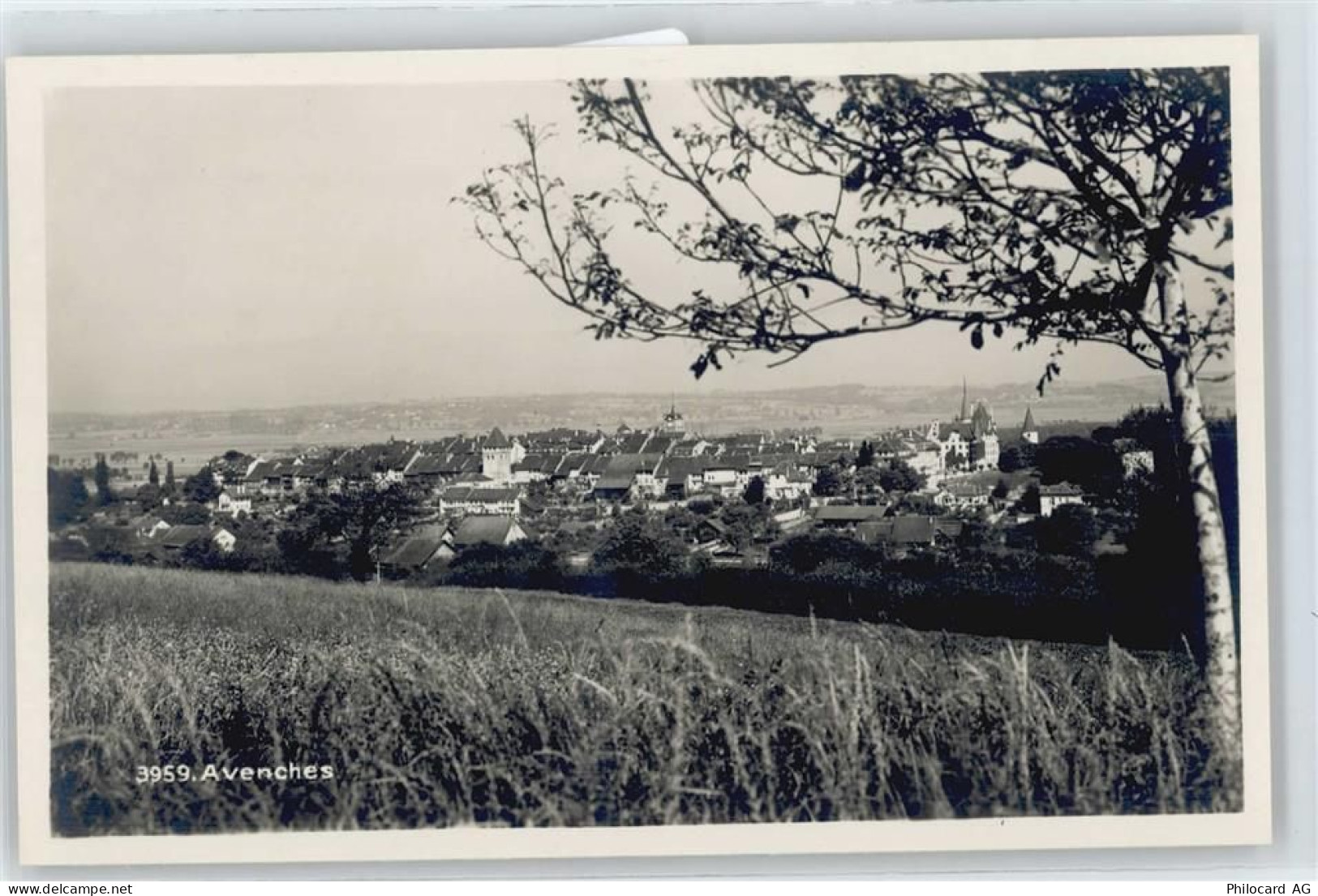 1580 Avenches - 50698053