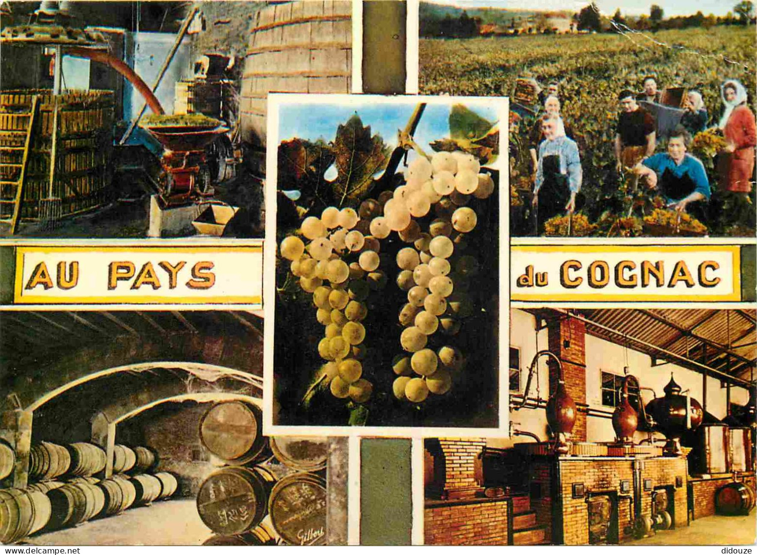 16 - Cognac - Au pays du Cognac - Multivues - CPM - Voir Scans Recto-Verso