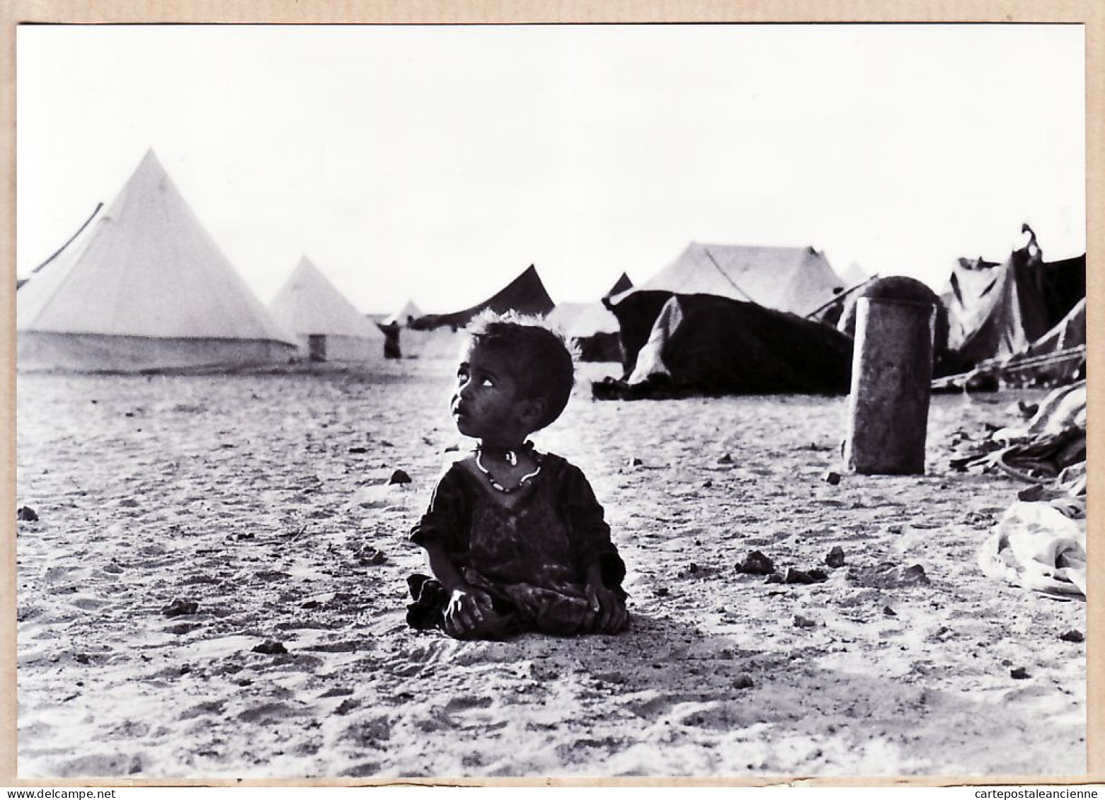 16006 / SAHARA OCCIDENTAL 1981 Famine enfant Campement du Front POLISARIO Photo SPENGLER Tirage N° 18/500