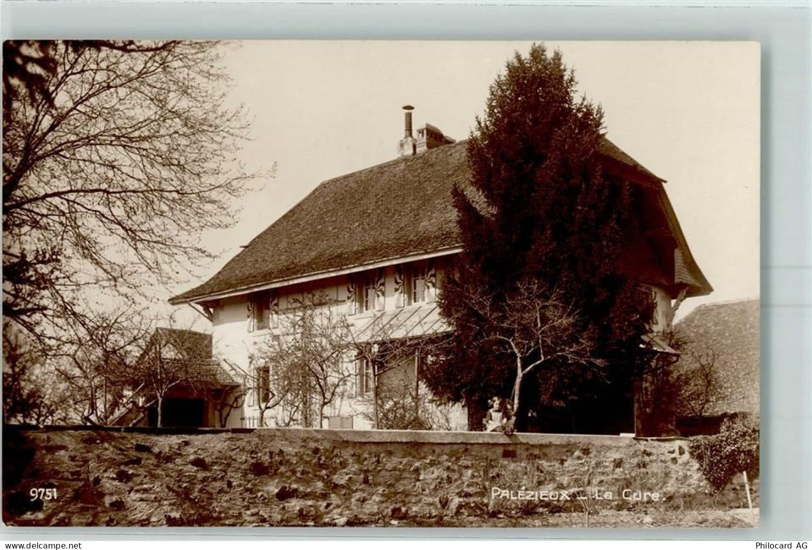 1607 Palézieux - Le Cure - 13172643