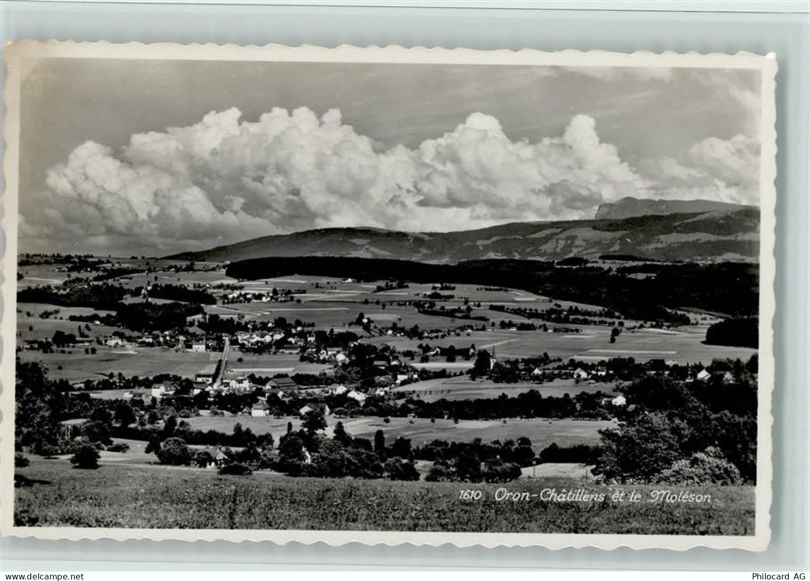 1610 Oron-la-Ville - Châtillens et le Moléson - 11061327