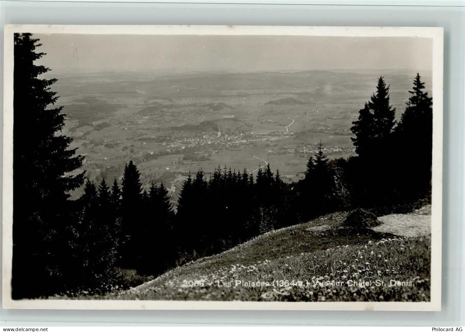 1618 Châtel-St-Denis - Les Plaiades vue sur Châtel St. Denis Bäume - 11061309