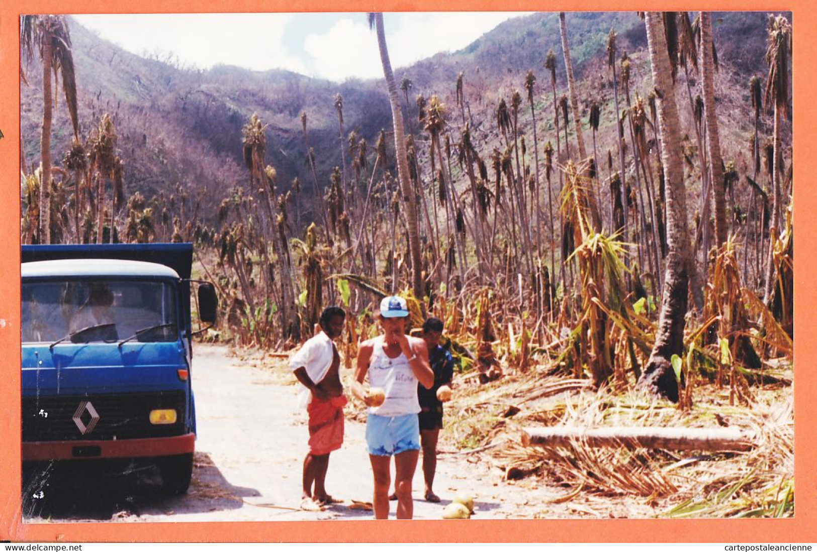 16243 / WALLIS et FUTUNA Camion RENAULT Foret Palmiers après Cyclone 1990s Photographie 15x10cm