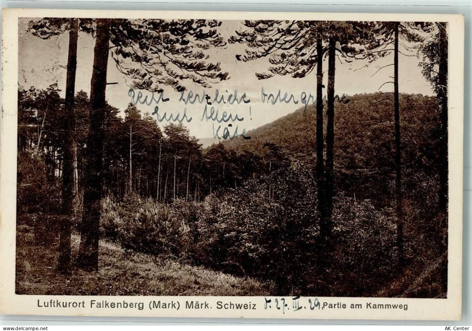 16259 O1312 Falkenberg , Mark - Partie am Kammweg - 10346718