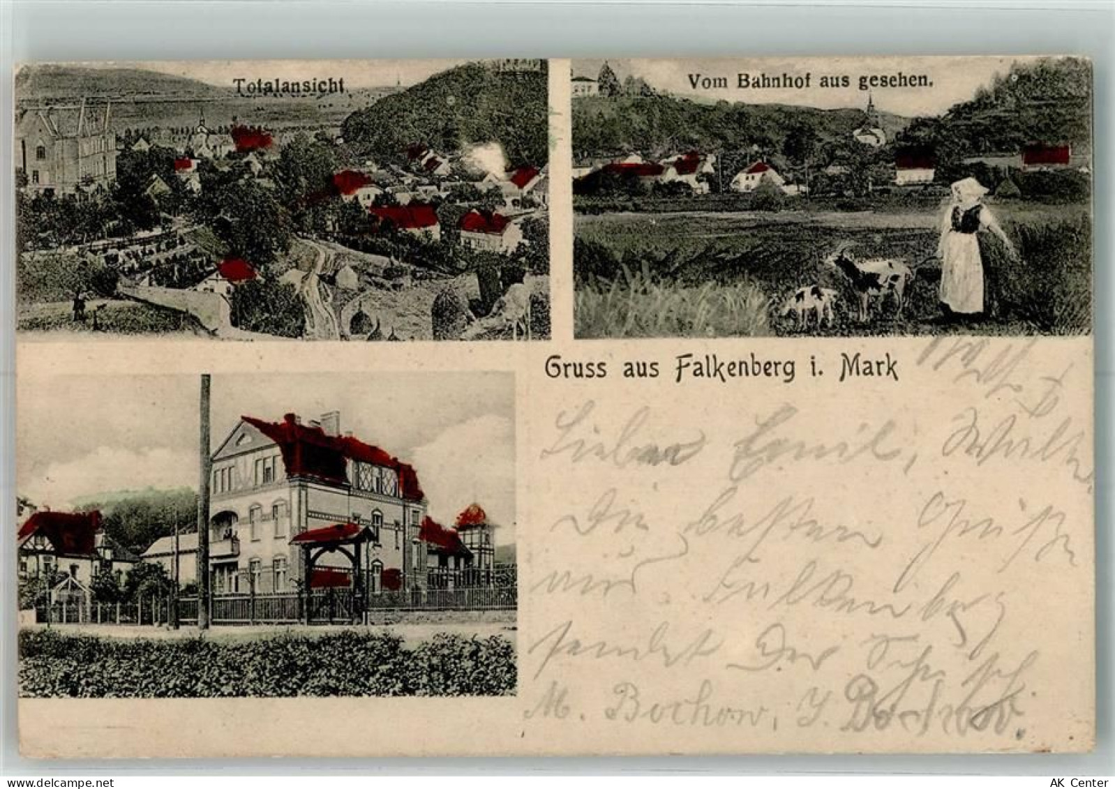 16259 O1312 Falkenberg , Mark - Ziegenmagd Ziegen - 13664786