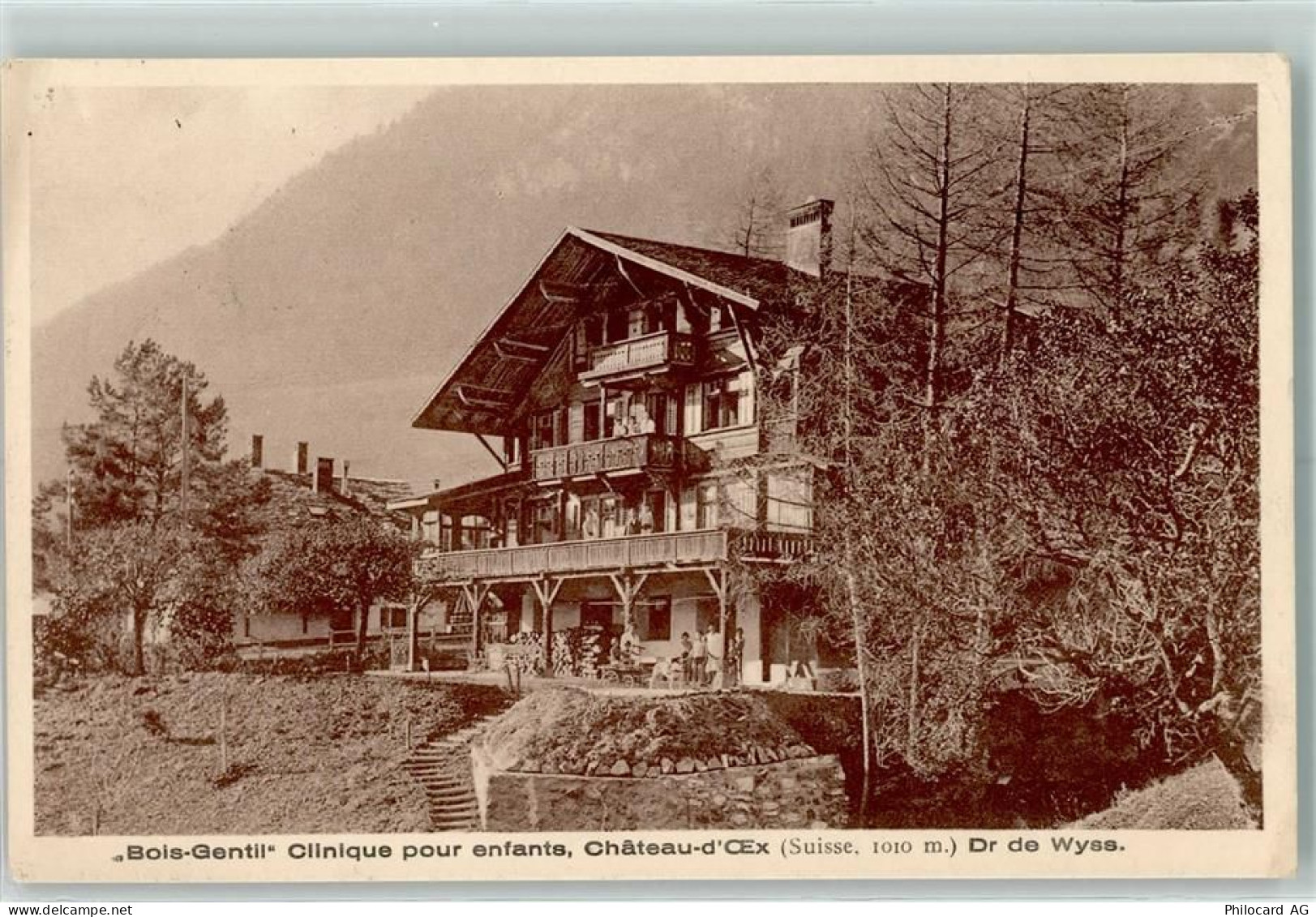 1660 Château-d'Oex - 10205510