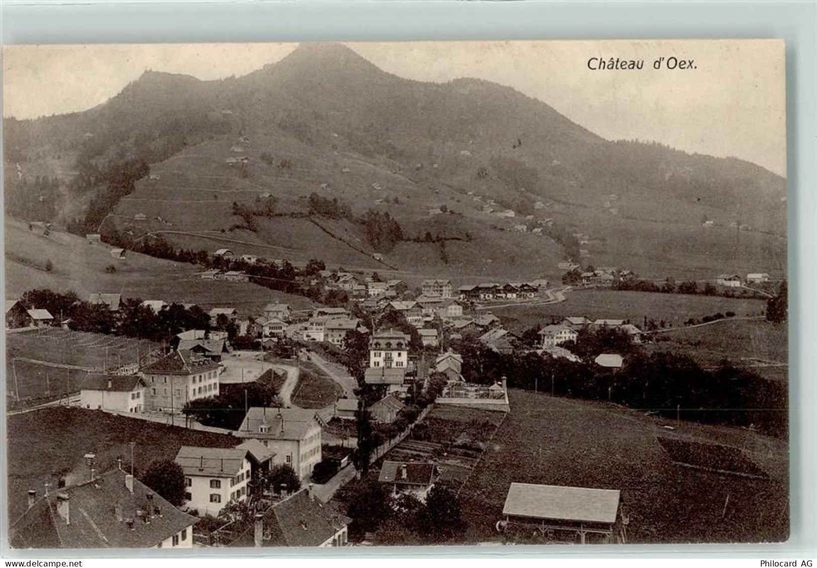 1660 Château-d'Oex - 10596422