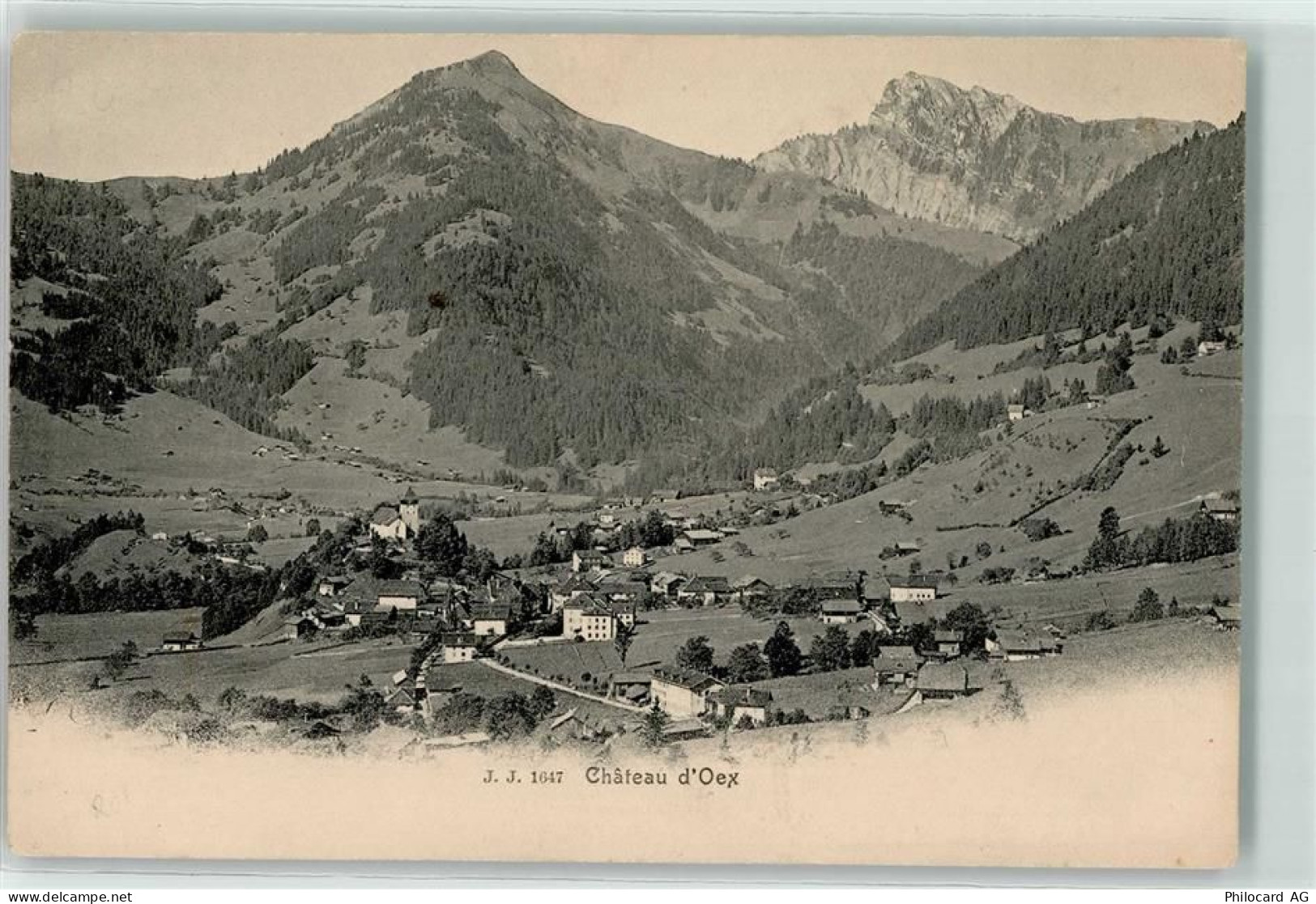 1660 Château-d'Oex - 10599661