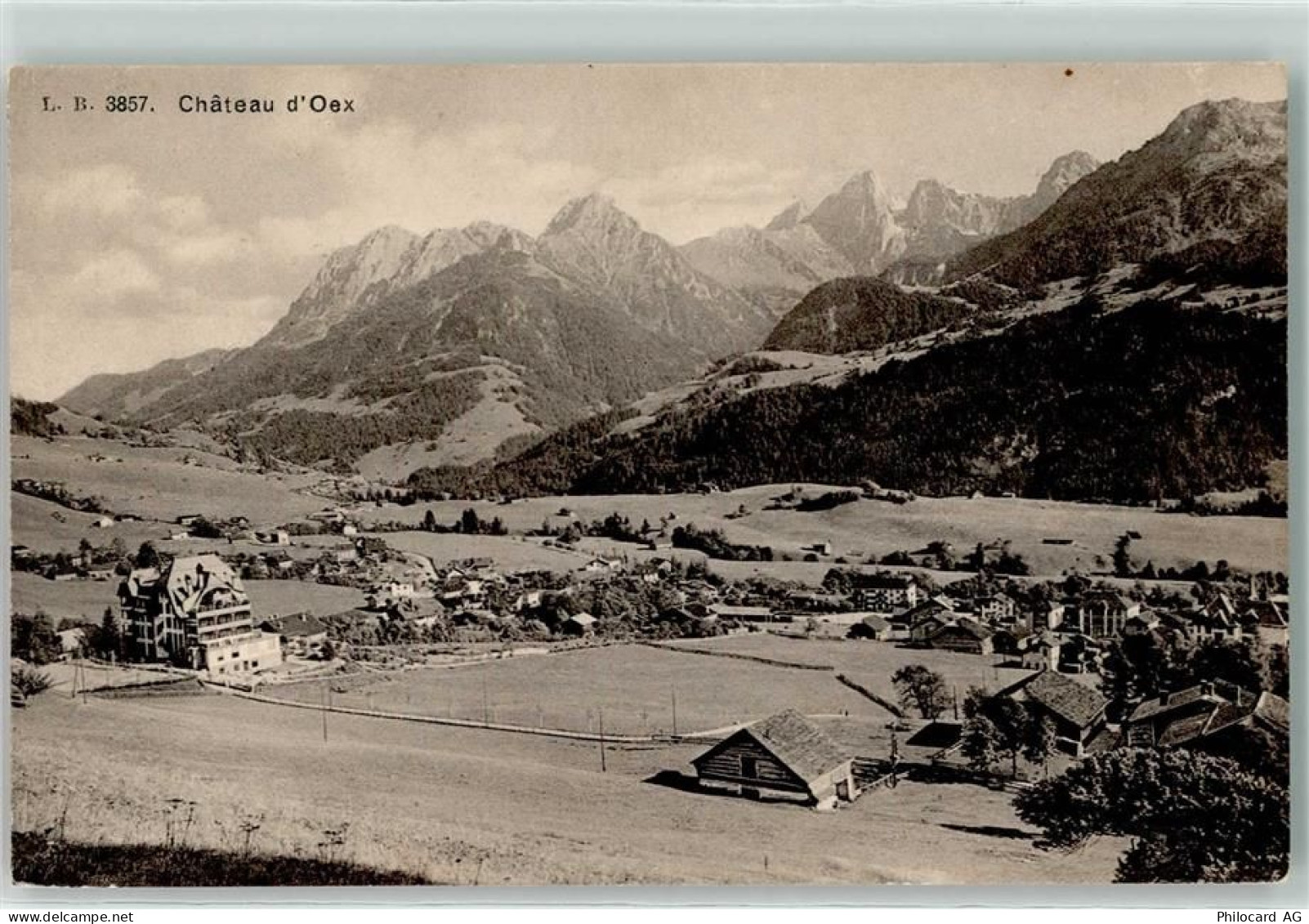 1660 Château-d'Oex - 10599676