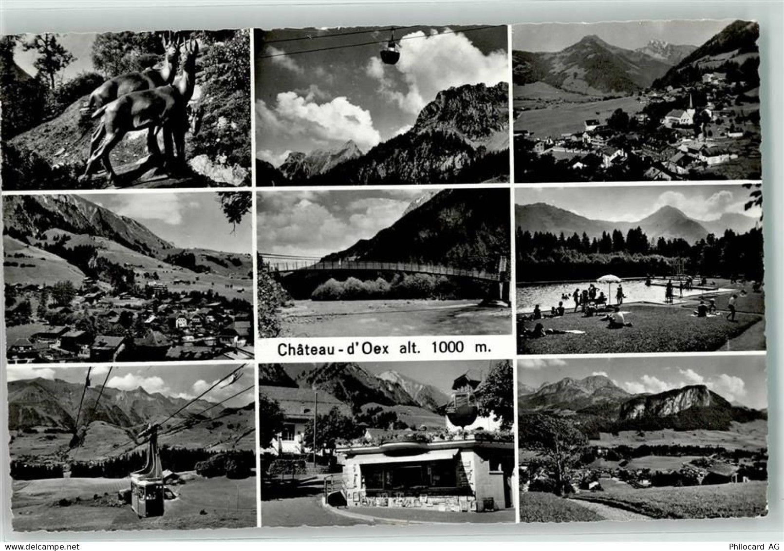 1660 Château-d'Oex - 39372321