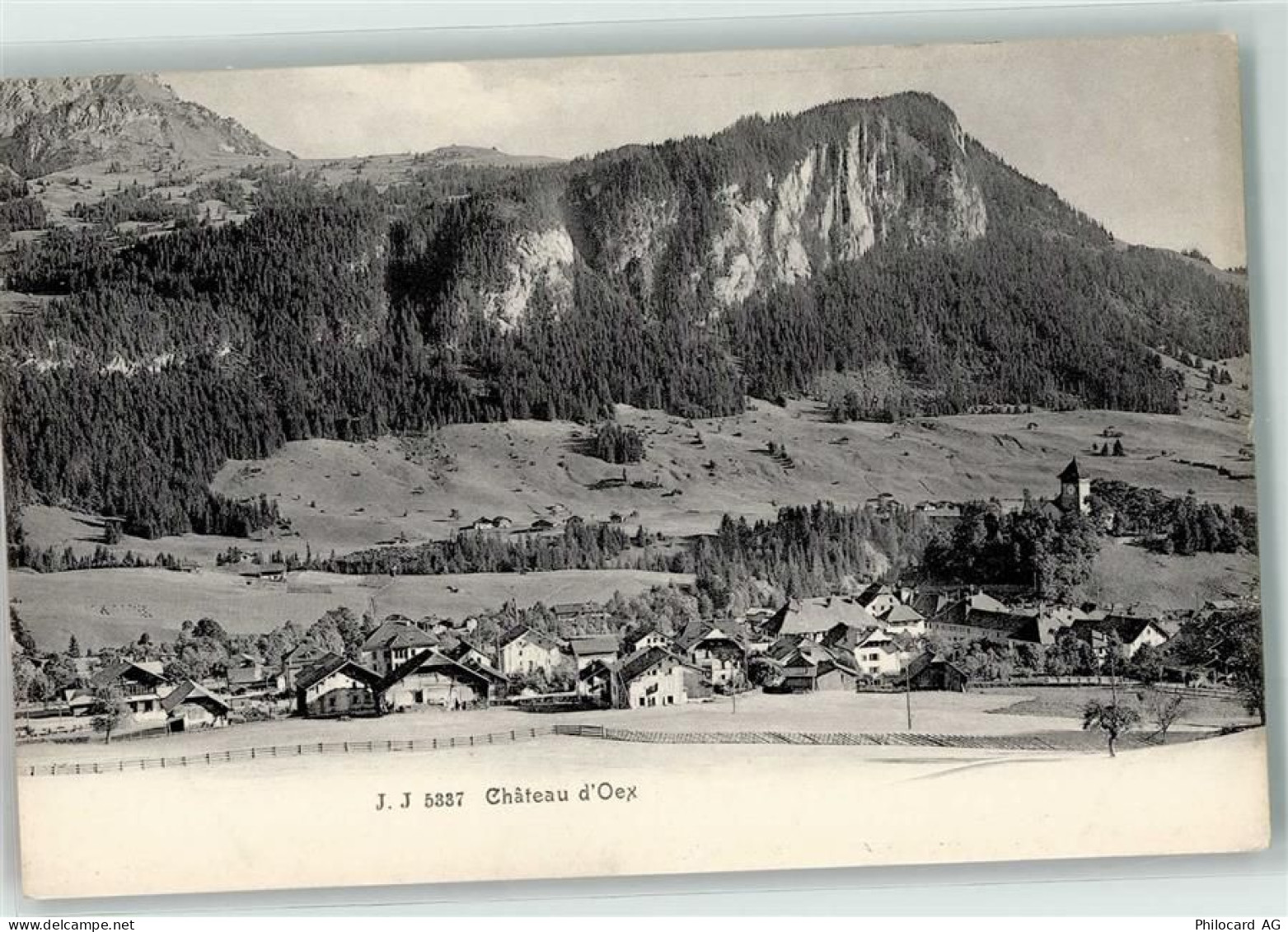 1660 Château-d'Oex - 39372418