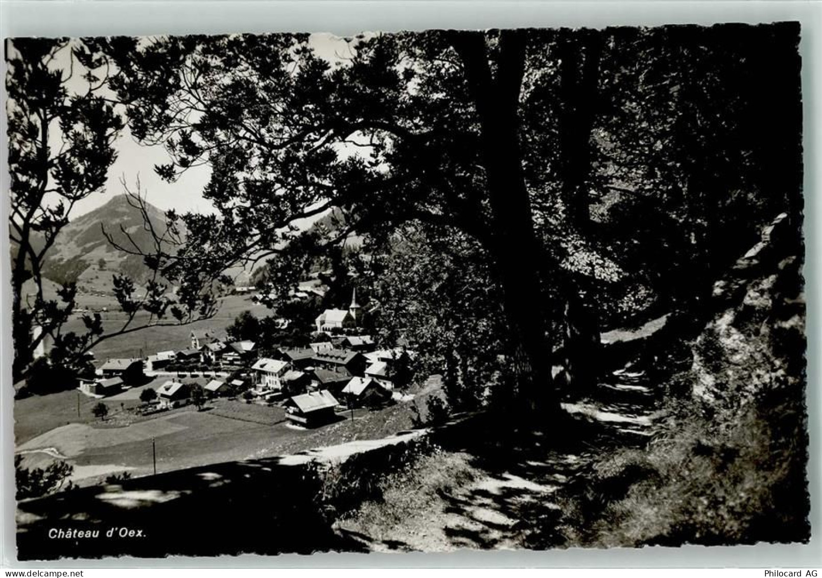 1660 Château-d'Oex - 39404568