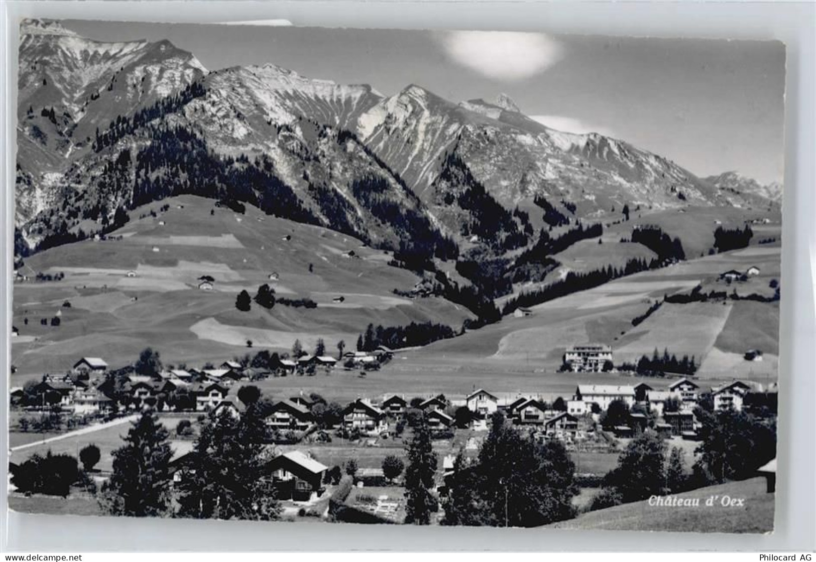 1660 Château-d'Oex - 50811254