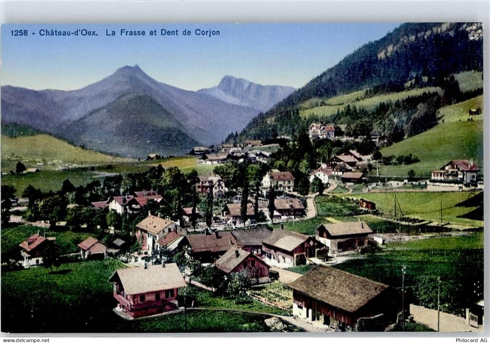 1660 Château-d'Oex - 51378491