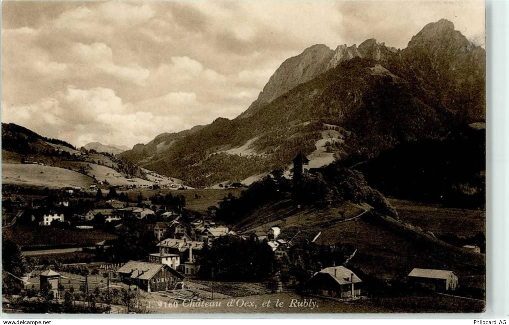 1660 Château-d'Oex - 51674597