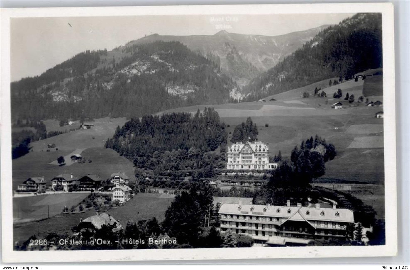 1660 Château-d'Oex - Hotel - 51424210