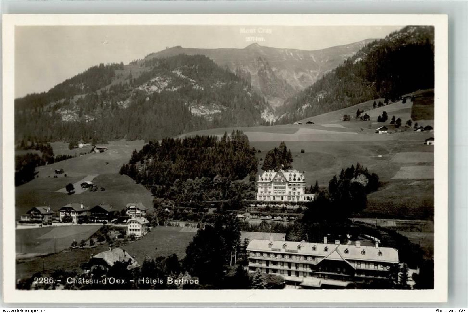 1660 Château-d'Oex - Hotel Berthod - 39694572
