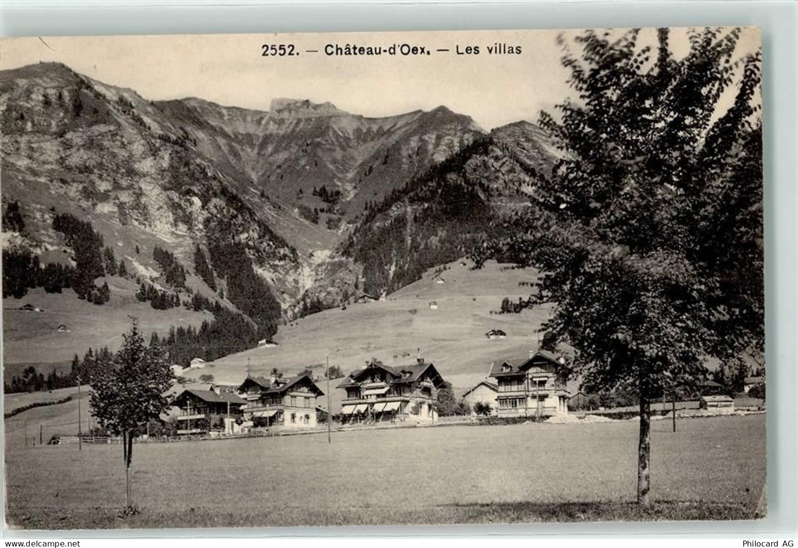 1660 Château-d'Oex - Les villas - 10597798