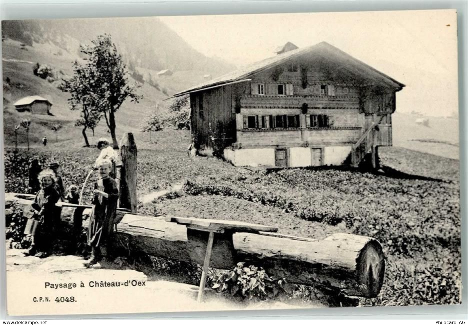 1660 Château-d'Oex - Paysage - 10607374