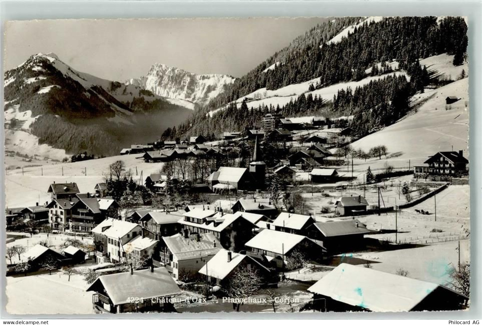 1660 Château-d'Oex - Winter - 10599619