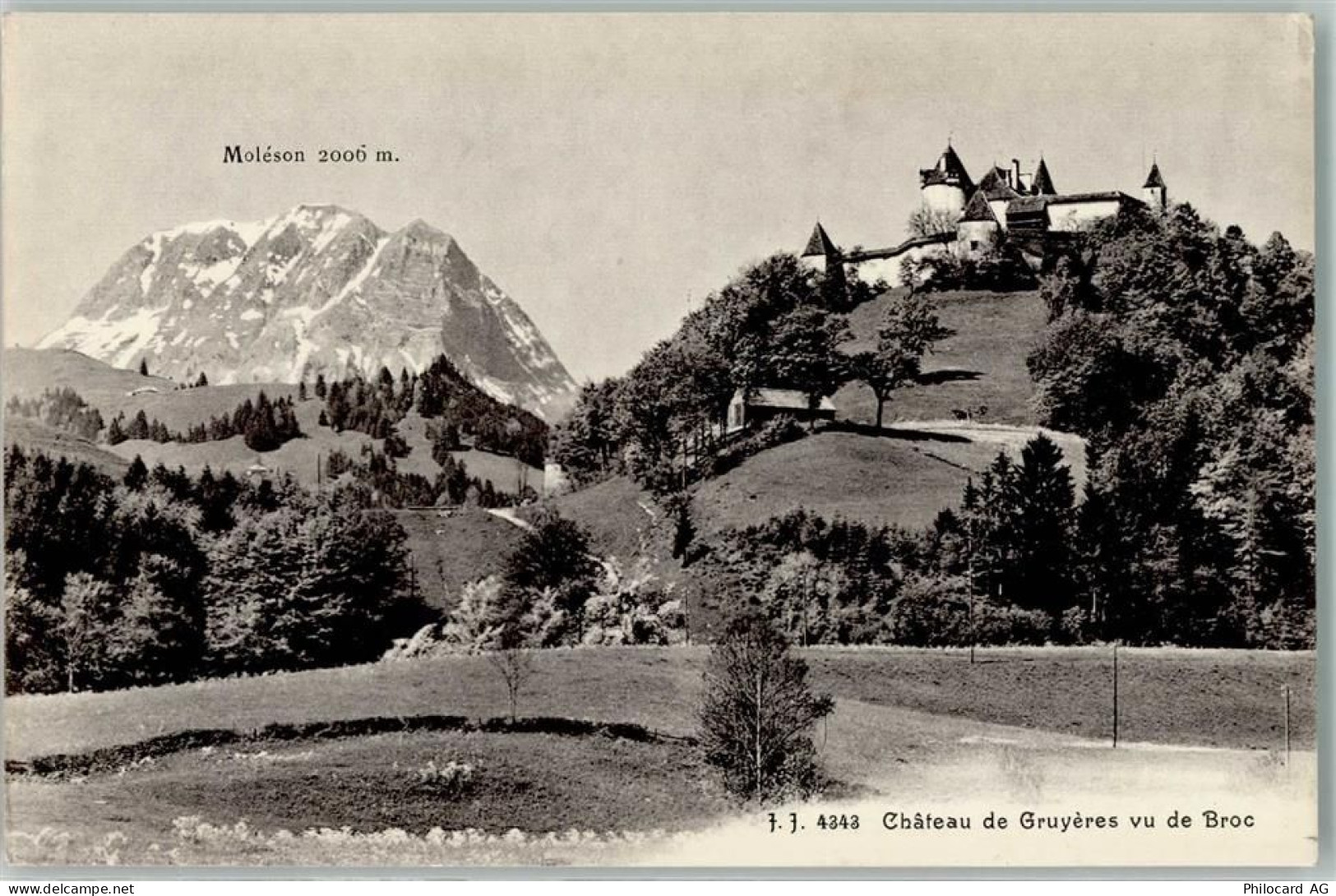 1663 Gruyères - 10489266