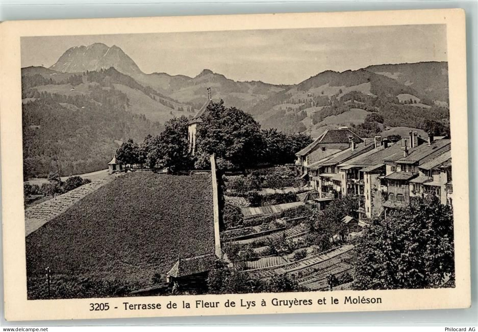 1663 Gruyères - 39363420