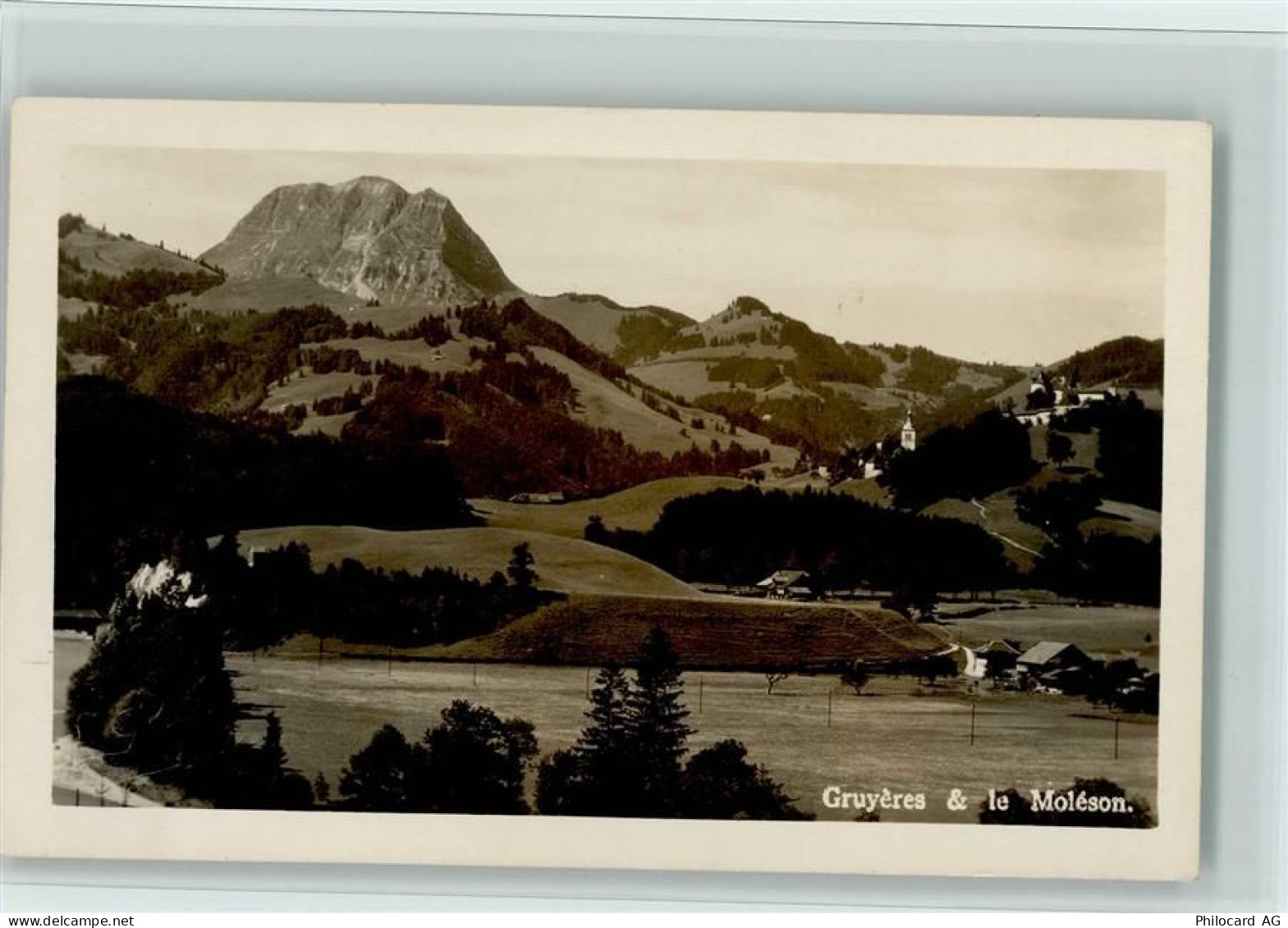1663 Gruyères - Le Moléson - 11064420
