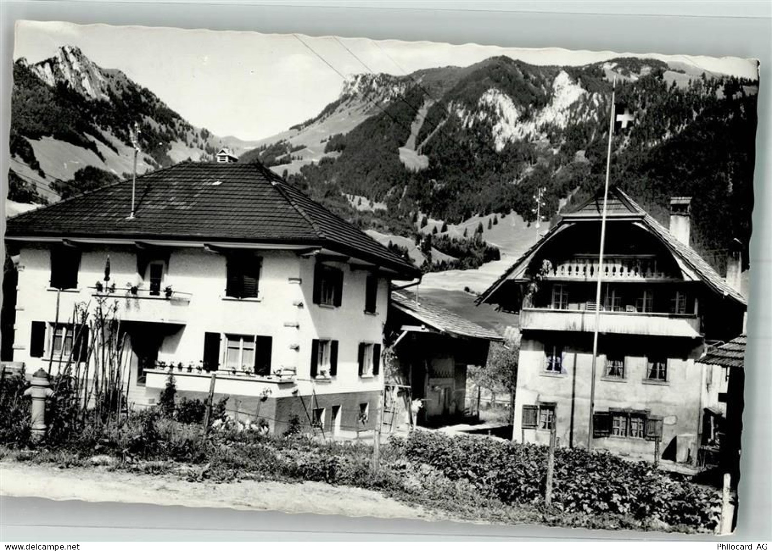 1667 Enney Foto AK - 38186024