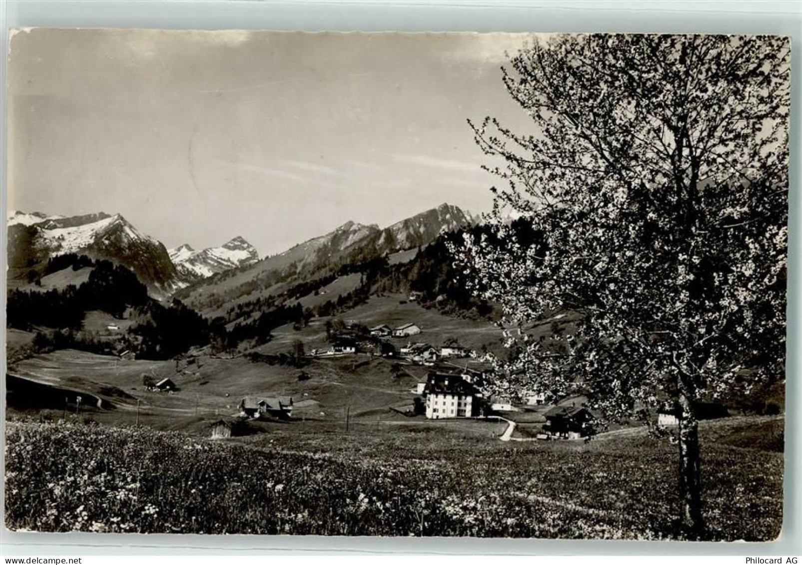 1669 Les Sciernes-dAlbeuve - 10592407