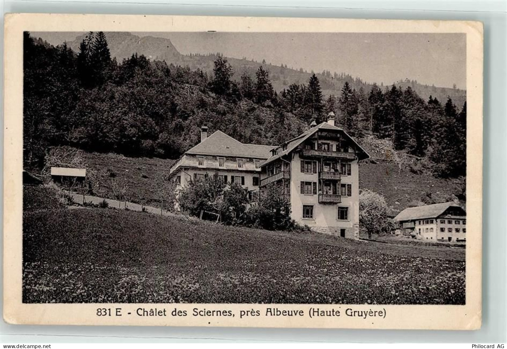 1669 Les Sciernes-dAlbeuve - Chalet - 13191203