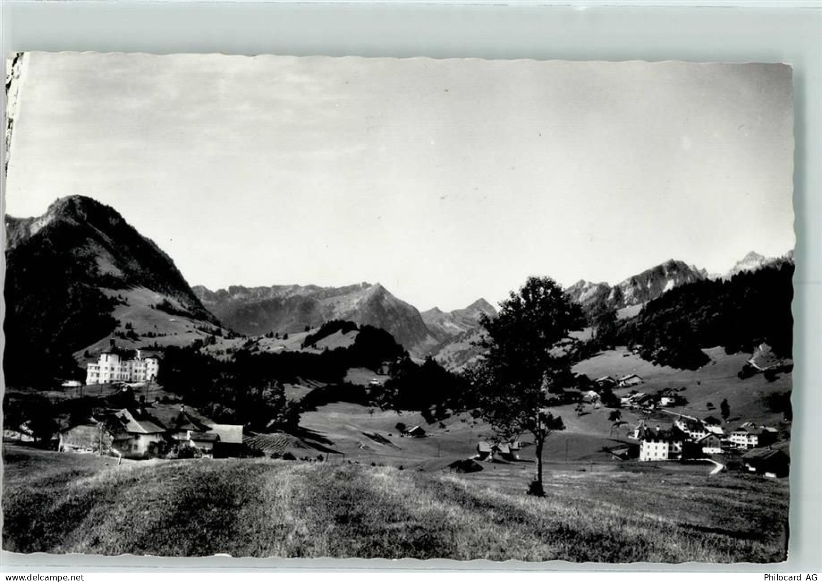 1669 Les Sciernes-dAlbeuve - Rochers de Naye Dent de Jaman - 10305466