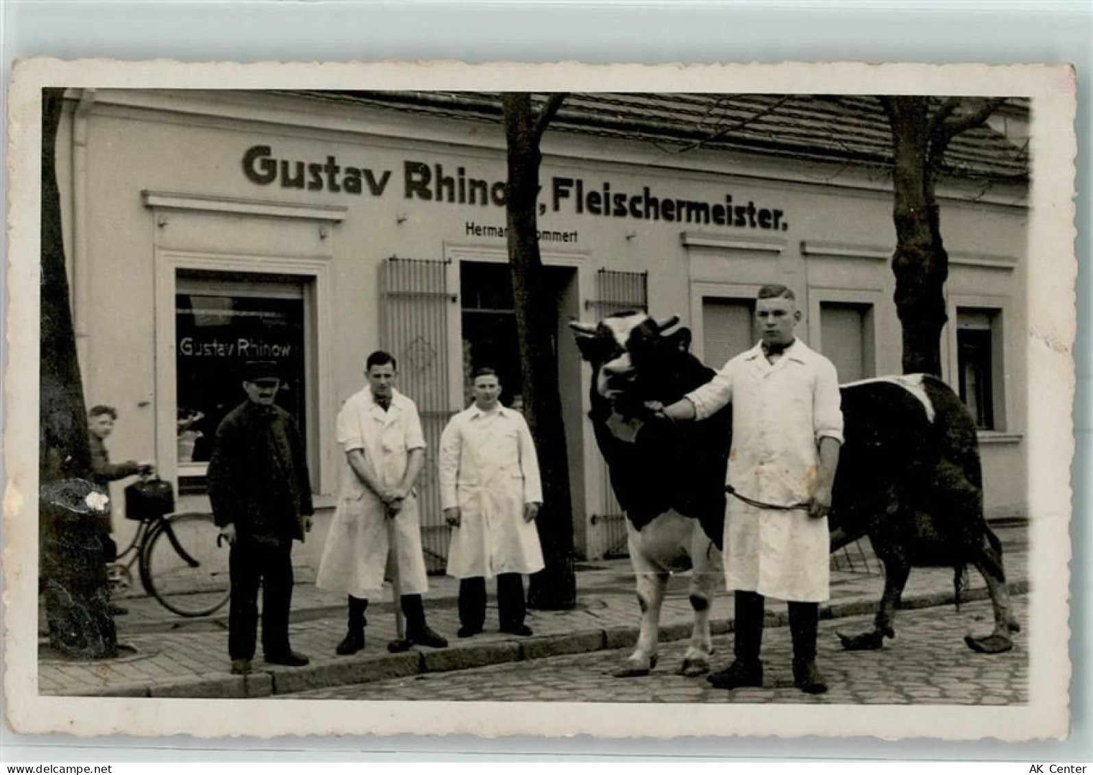 16727 O1420 Velten Privatfoto AK Gustav Rhinow Fleischermeister Kuh - 13604869