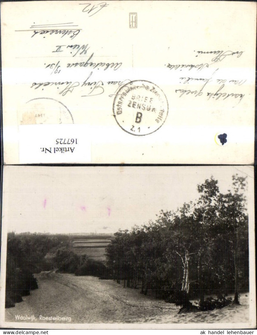 167725,Waalwijk Roestelberg Wegansicht