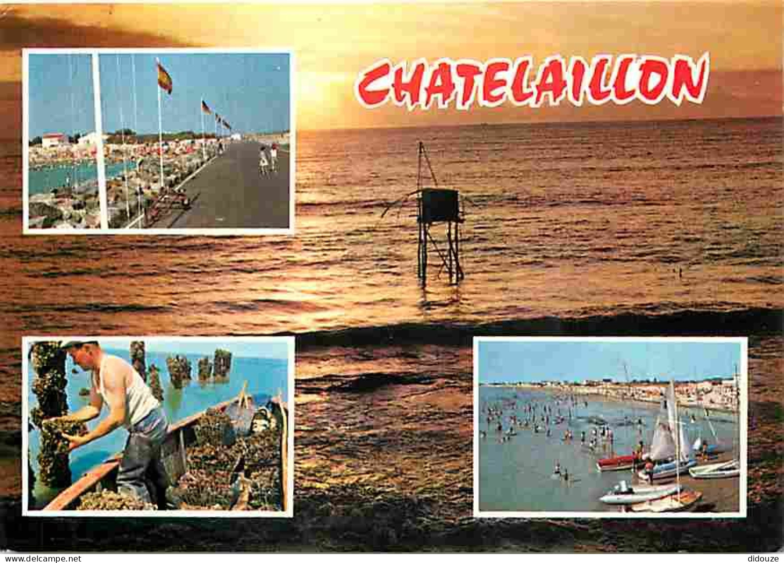 17 - Chatelaillon-Plage - Multivues - Boucholeur au travail - Carrelets - Coucher de Soleil - CPM - Voir Scans Recto-Ver