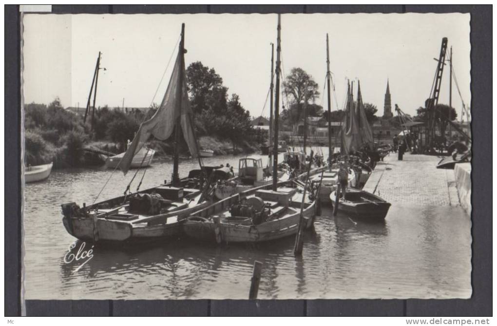 17 -La Tremblade - Contre-jour sur le port