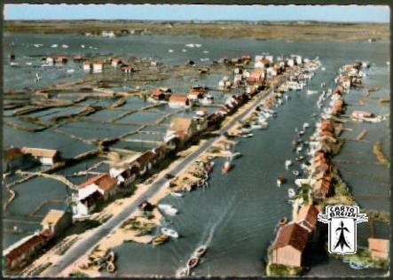 17 La Tremblade - LA TREMBLADE (17. Char-Marit)  89-15 A - La Grève - Vue aérienne - cpsm