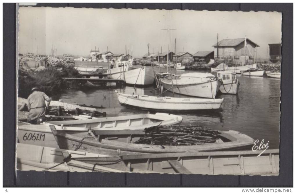 17 -La Tremblade - Les bords du canal de la Seudre