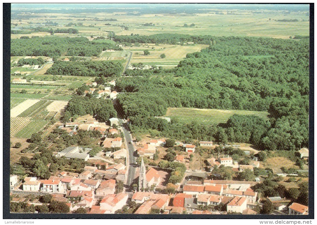 17 - LES MATHES - VUE GENERALE - CPSM