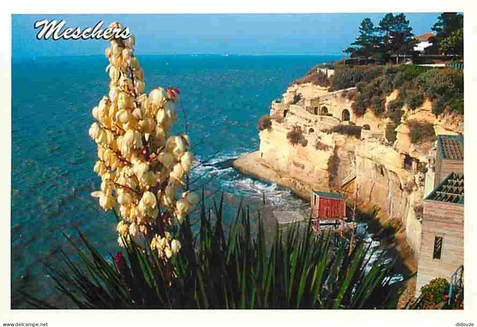 17 - Meschers - Les Grottes de Matata - CPM - Voir Scans Recto-Verso