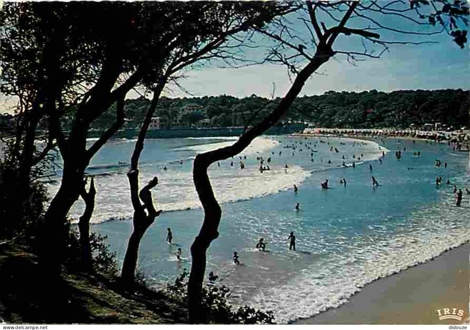 17 - Vaux sur Mer - La plage de Nauzan - Scènes de Plage - Flamme Postale - CPM - Voir Scans Recto-Verso